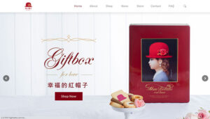 成功案例新竹網頁設計SEO公司